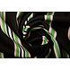 Scuba Crepé Sporty Stripe Negro Verde Scuba Crepé Sporty Stripe Negro Verde