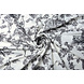 French Toile Flowy Piqué Negro Blanco Roto