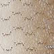 Embroidered Lace 2-Gradient Sequins Lexi Sand Beige