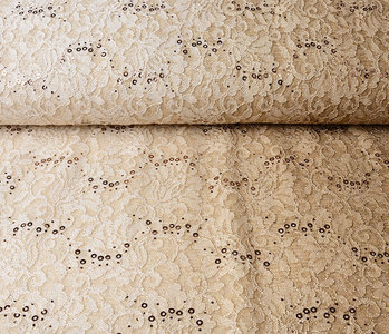 Gestickte Spitze  2-Verlauf Pailletten Lexi Sand Beige