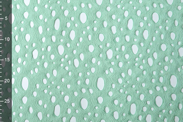 Broderie Katoen Viscose Elise Mint Groen Broderie Katoen Viscose Elise Mint Groen