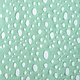 Embroidery Cotton Viscose Elise Mint Green