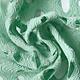 Embroidery Cotton Viscose Elise Mint Green