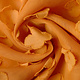 Genähter Chiffon Charlize Orange