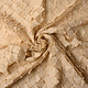 Mesh 3D Pearl Naomi Champagne Beige