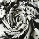 100% Viscose Elvira Black White