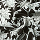 100% Viscose Laurie Black - White