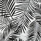 100% Viscose Kira Palm Leaves White - Black