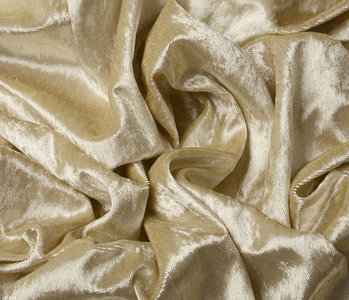 Velours de Panne Light Gold