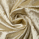 Velours de Panne Light Gold