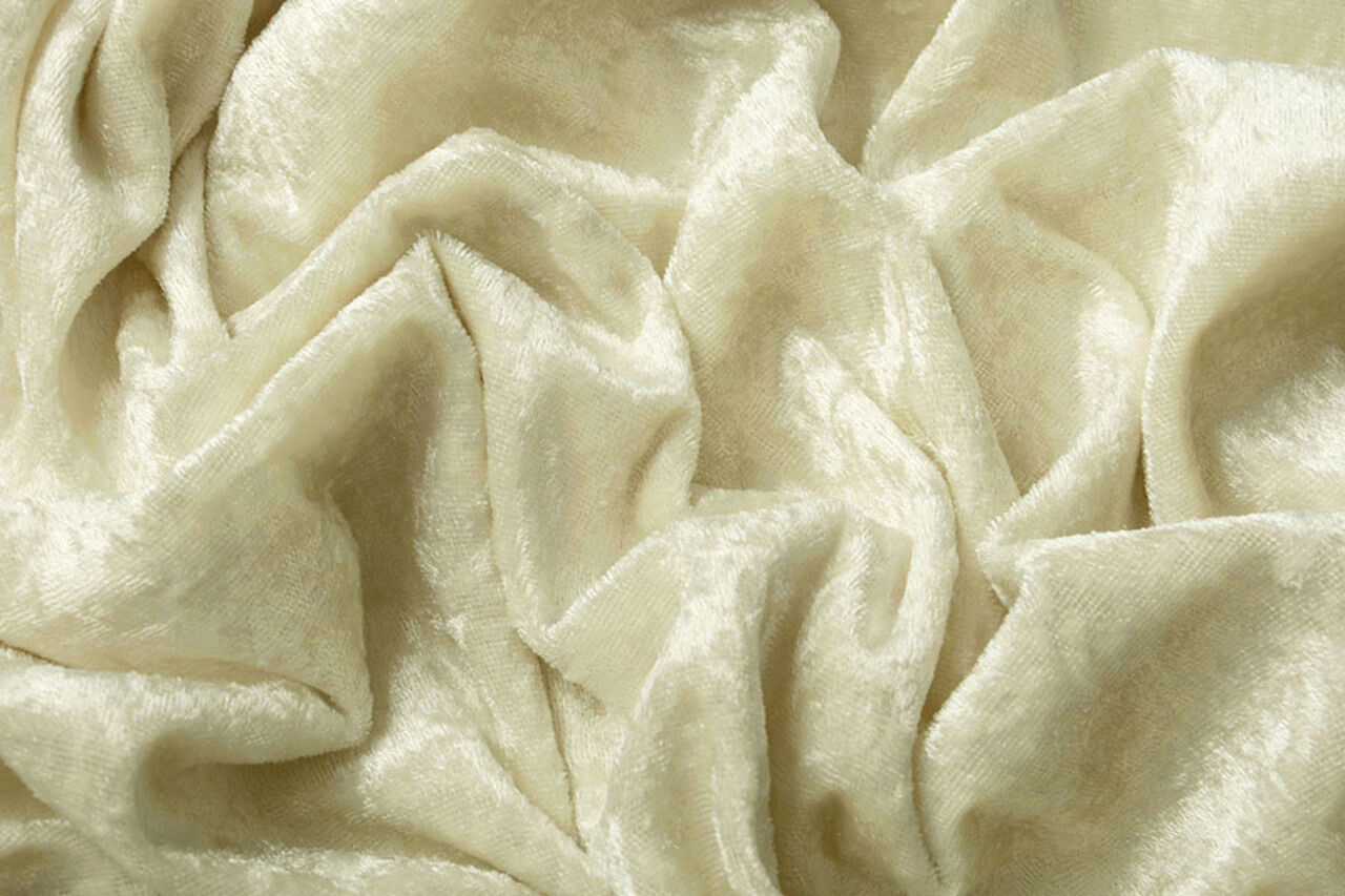 Terciopelo de Panne Crema Terciopelo de Panne Crema