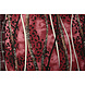 Jersey Tessuto Leopardo Righe Rosso