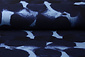 Jersey Tessuto Painted Pois Blu Jersey Tessuto Painted Pois Blu