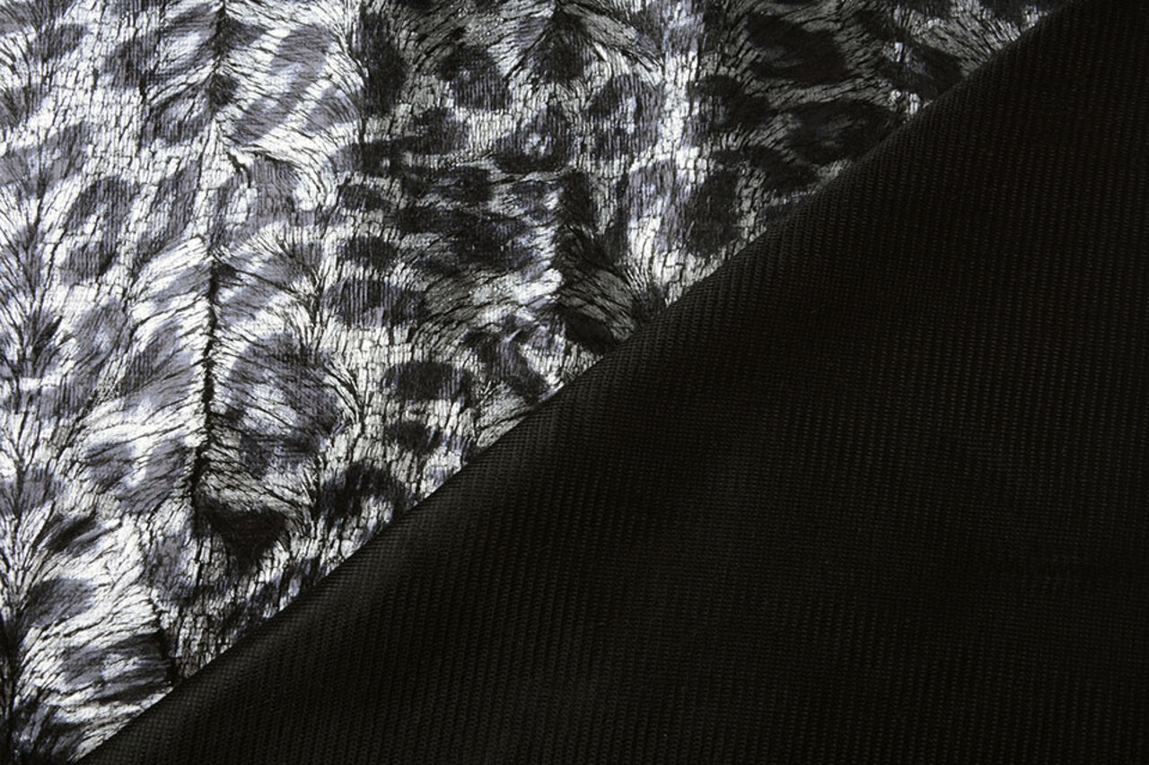 Leopardo Pelo Plateado Leopardo Pelo Plateado