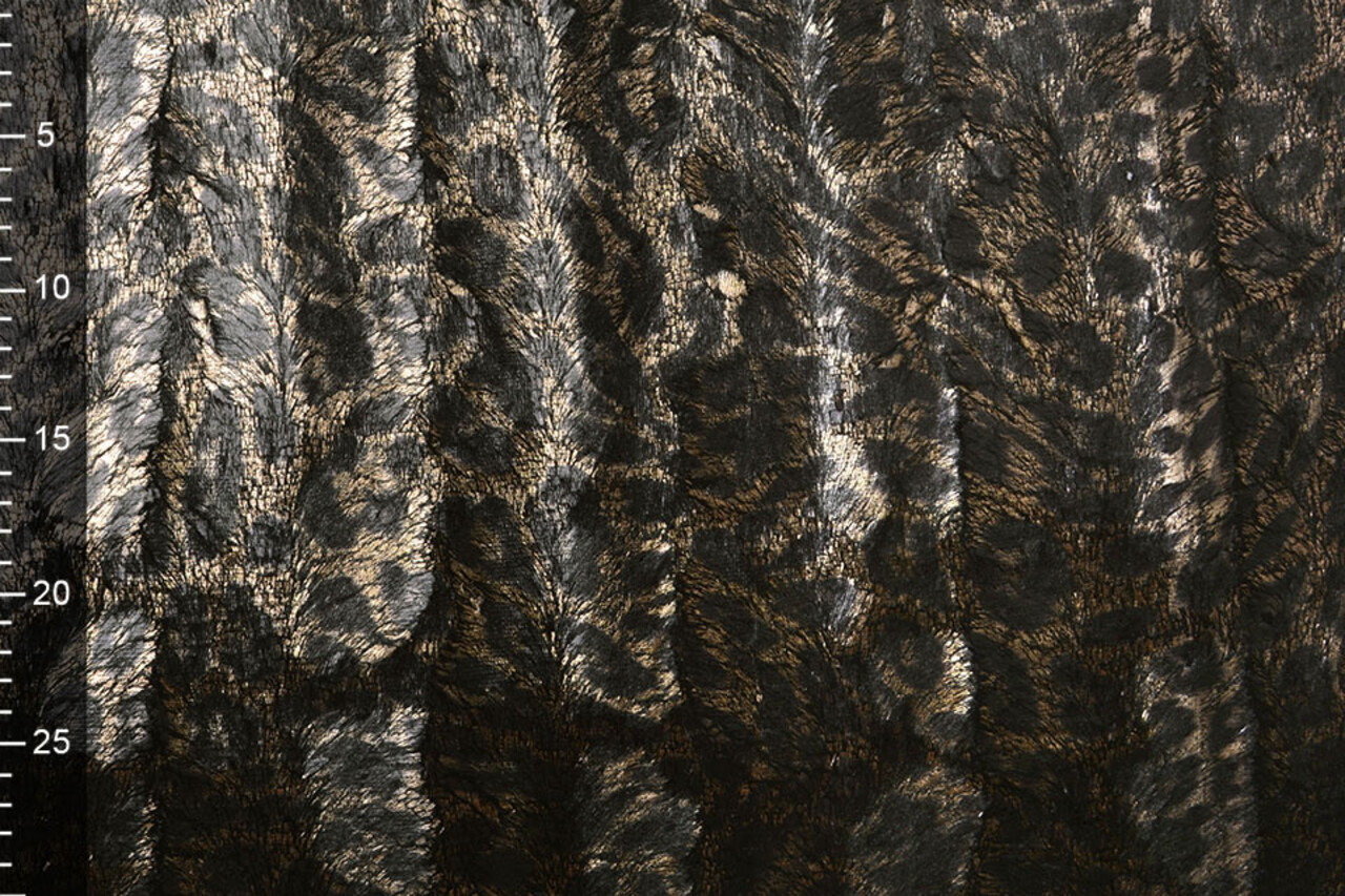 Panther Pelliccia Oro Panther Pelliccia Oro
