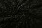 Hairy Fur Astranimo Black Hairy Fur Astranimo Black