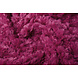 Peloso Pelliccia Astranimo Fucsia Peloso Pelliccia Astranimo Fucsia
