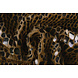 Pelliccia Crocodile Arcobaleno Lamina Marrone Moka Pelliccia Crocodile Arcobaleno Lamina Marrone Moka