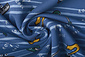 French Terry Rayas Muziek Azul