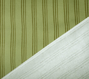 Coton Sergé Rayures Vert