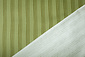 Coton Sergé Rayures Vert