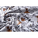 100% Digitale Cotone Bosdieren Hert e Uil
