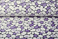 Coral Polar Flagstones Morado Coral Polar Flagstones Morado