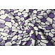Coral Polar Flagstones Morado Coral Polar Flagstones Morado