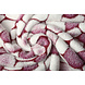 Coral Polar Flagstones Rojo Vino Coral Polar Flagstones Rojo Vino
