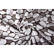 Corail Polaire Flagstones Marron Corail Polaire Flagstones Marron