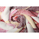 Pile Corallo Grande Fiori Rosso Pile Corallo Grande Fiori Rosso