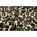 Pile Corallo Luipaard Crema Pile Corallo Luipaard Crema