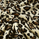 Coral Fleece Leopard Creme