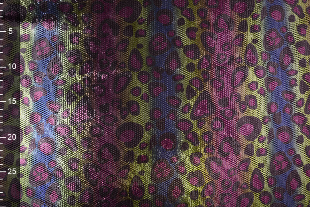 Sequins Rainbow on Jersey