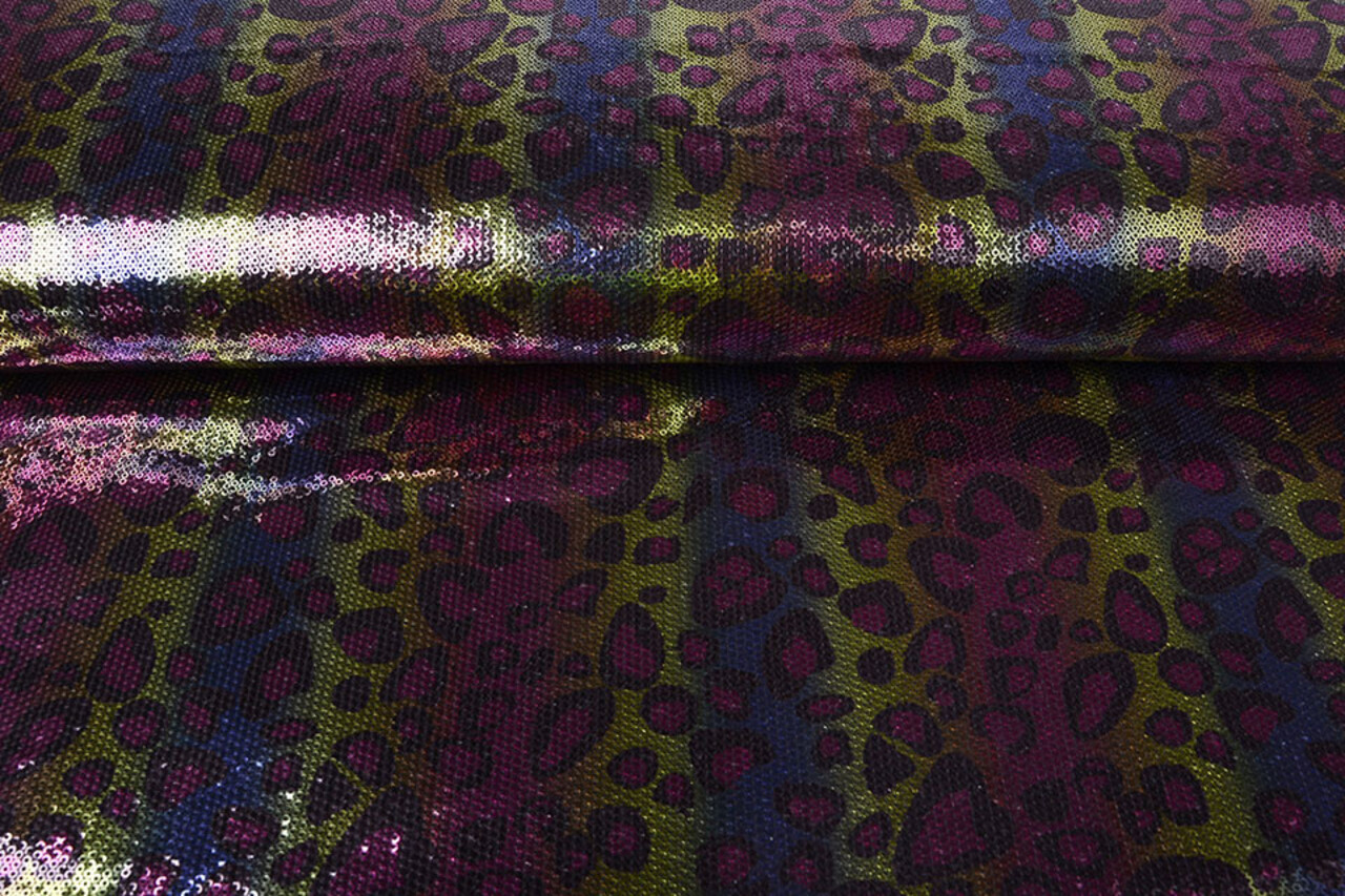 Sequins Rainbow on Jersey