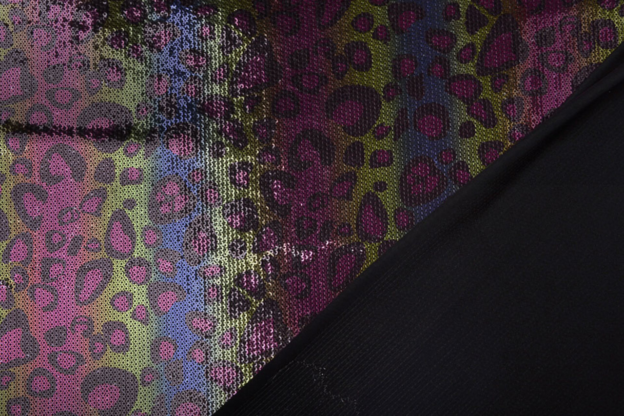 Sequins Rainbow on Jersey