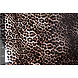 Stampata TPU Regenjas Tessuto Stampa Leopardata Stampata TPU Regenjas Tessuto Stampa Leopardata
