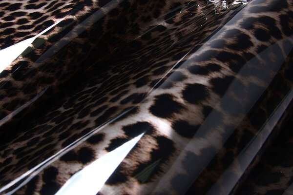 Printed TPU Raincoat Fabric Panther Print Printed TPU Raincoat Fabric Panther Print