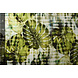 Digitale Stretch Cotone Monstera Palmblad Verde Digitale Stretch Cotone Monstera Palmblad Verde