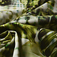 Digital Stretch Cotton Monstera Palm Leaf Green