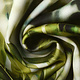 Digital Stretch Cotton Monstera Palm Leaf Green