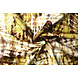 Digitale Stretch Cotone Monstera Palmblad Marrone Digitale Stretch Cotone Monstera Palmblad Marrone