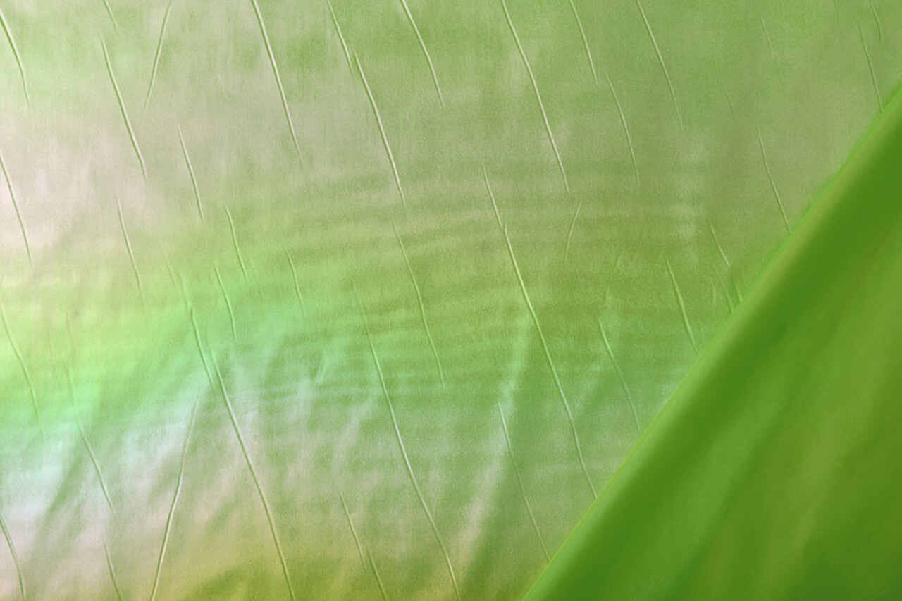 Neon Film Vert Neon Film Vert