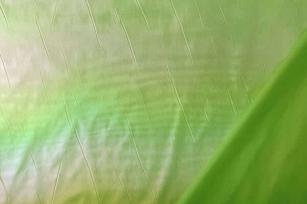 Neon Tejido Metalizado Verde