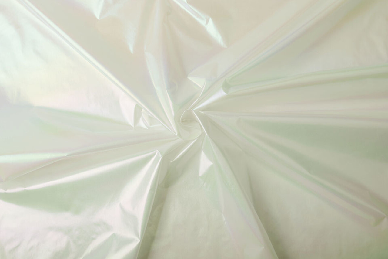 Neon Film Blanc Neon Film Blanc