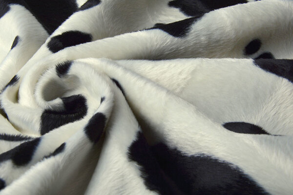 Velboa Estampado de Vaca Negro-Blanco Roto Velboa Estampado de Vaca Negro-Blanco Roto