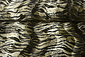 Velboa Imprimé Tigre Velboa Imprimé Tigre