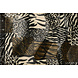 Velboa Patchwork Stampa Animalier Velboa Patchwork Stampa Animalier