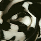 Velboa Zebramotiv Groß Schwarz-Off White