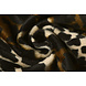 Velboa Estampado de Leopardo Velboa Estampado de Leopardo